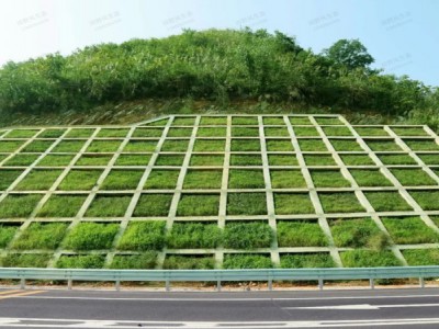 第六屆全國邊坡安全防護與生態修復新技術高峰論壇